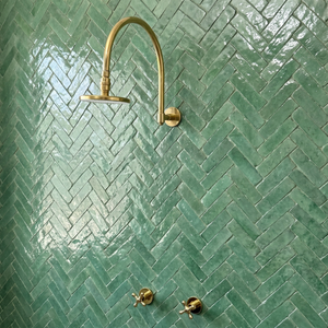 Unlacquered Brass Adjustable Flat Round Rain Shower System — Arcuate arm (UBCSS-001) — shower system overview
