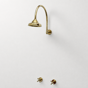 Unlacquered Brass Adjustable 6" Round Rain Shower System, Arcuate Arm