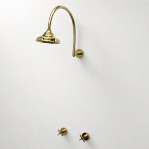Unlacquered Brass Adjustable 6" Round Rain Shower System, Arcuate Arm