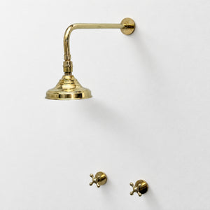 Unlacquered Brass Adjustable 6" Round Rain Shower System, Straight Arm