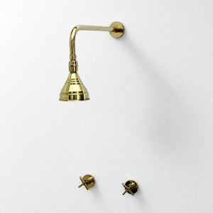 Unlacquered Brass Adjustable 4" Round Rain Shower System, Straight Arm