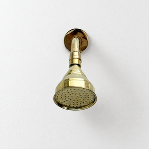 Unlacquered Brass Adjustable 4" Round Rain Shower System with Handheld, Short Arm