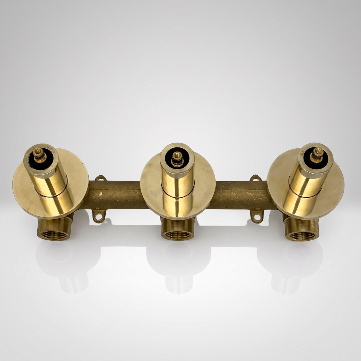 Questions to Ask Your Plumber Before Installing Brass Fixtures