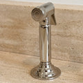 Polished Nickel Kitchen Side Sprayer