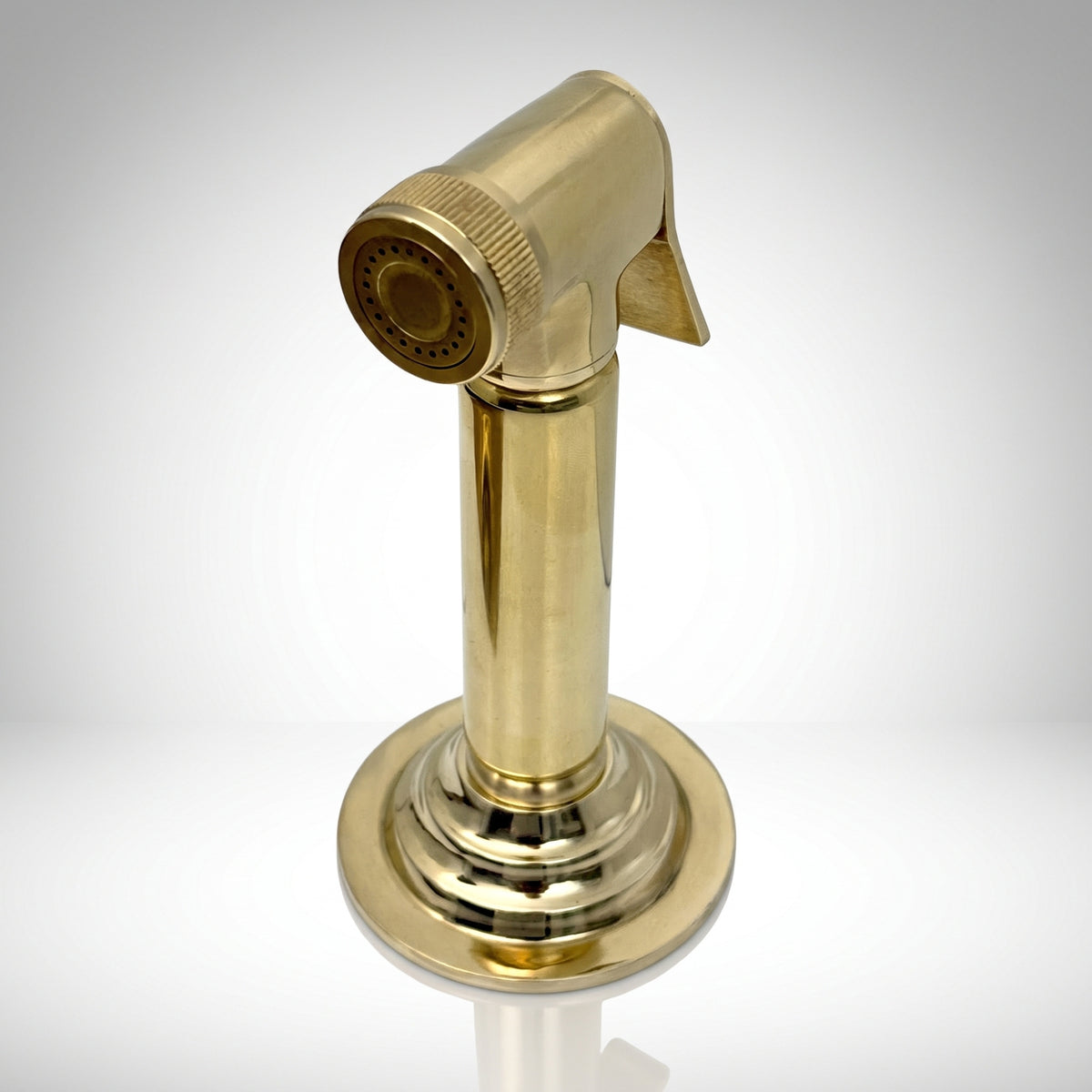 Unlacquered Brass Kitchen Side Sprayer