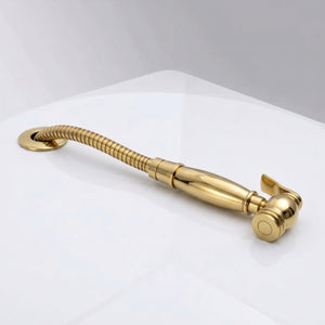 Unlacquered Brass Kitchen Side Sprayer