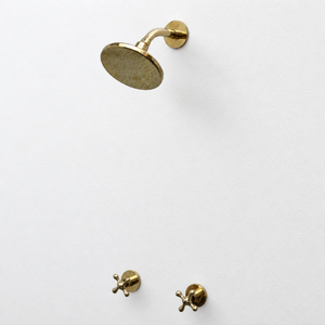 Unlacquered Brass Adjustable 6" Flat Round Rain Shower System, Short Arm