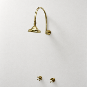 Unlacquered Brass Adjustable 6" Round Rain Shower System, Arcuate Arm