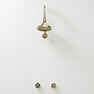Unlacquered Brass Adjustable 6" Round Rain Shower System, Arcuate Arm