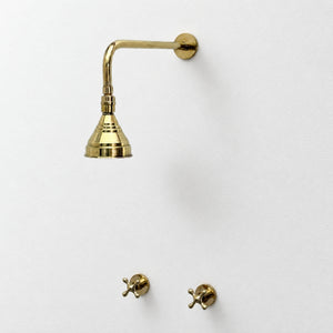 Unlacquered Brass Adjustable 4" Round Rain Shower System, Straight Arm