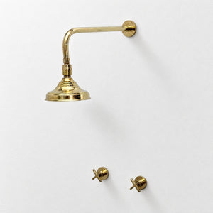 Unlacquered Brass Adjustable 6" Round Rain Shower System, Straight Arm