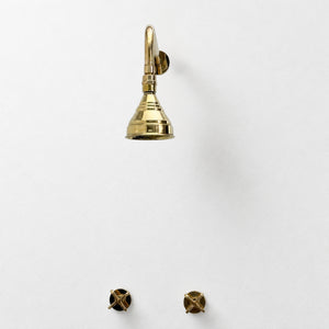 Unlacquered Brass Adjustable 4" Round Rain Shower System, Straight Arm