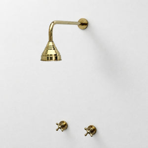 Unlacquered Brass Adjustable 4" Round Rain Shower System, Straight Arm