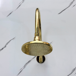 Unlacquered Brass Adjustable Flat Round Rain Shower System — Arcuate arm (UBCSS-001) — detail view 6